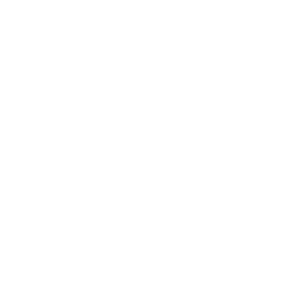 icon esperienza